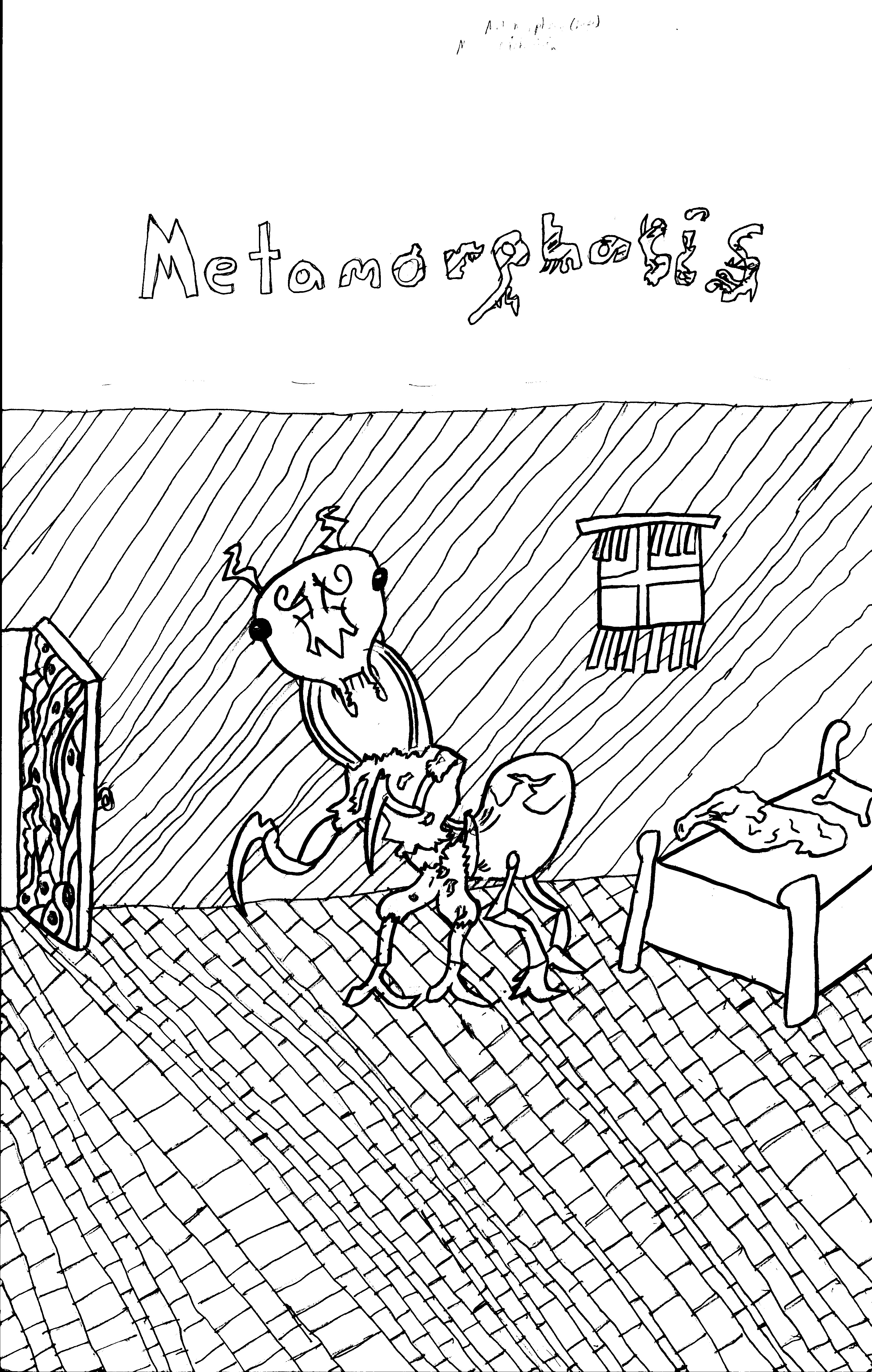 matthew_metamorph
