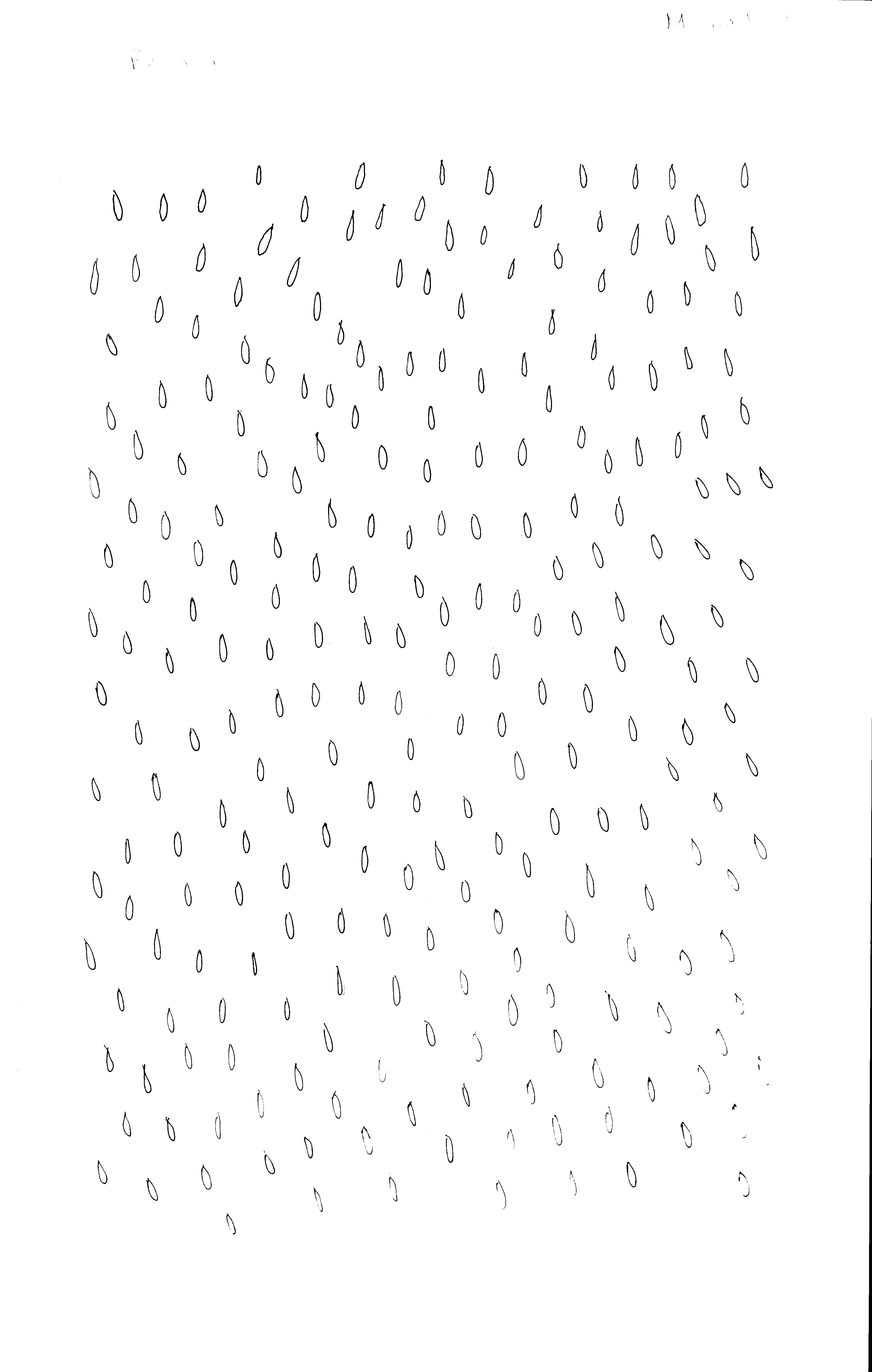 michael_rain