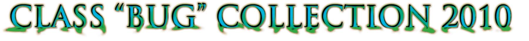 Class bug logo