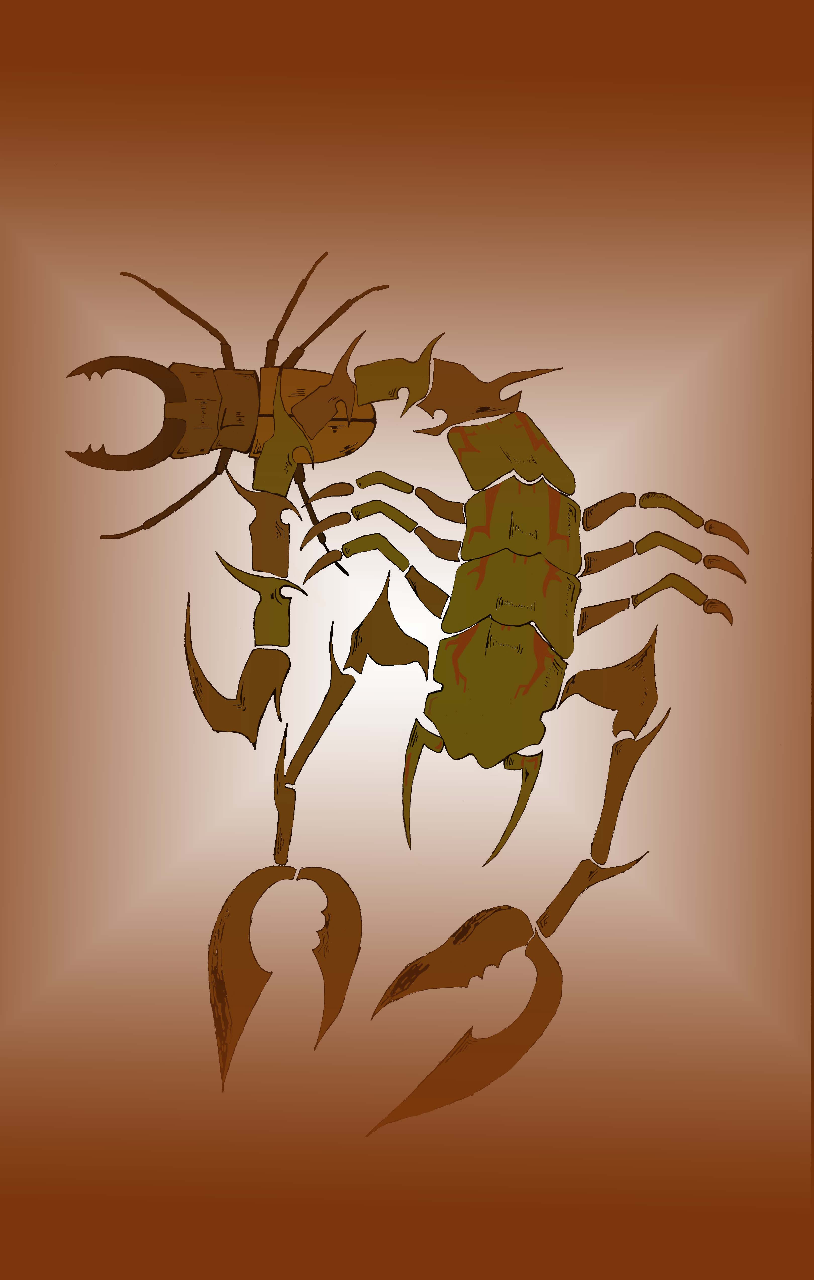 zayd_bug-4