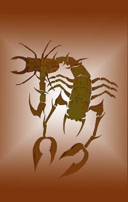 zayd_bug-4