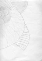 natucha_2_3