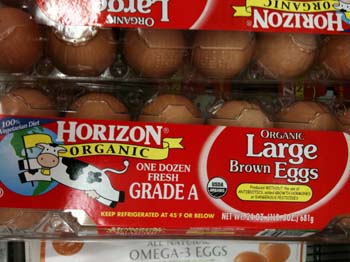 eggs