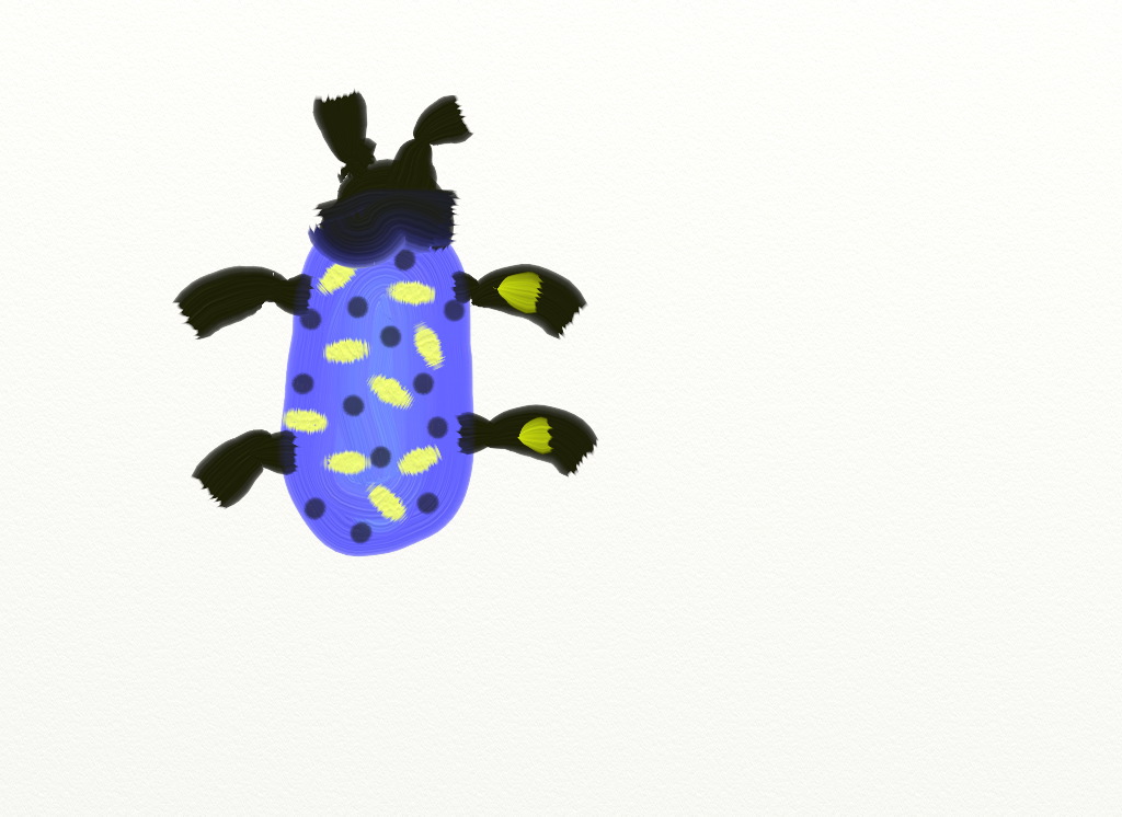 normanbug