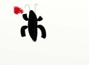 juniorbug